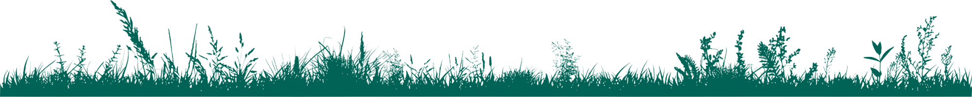 grass pattern