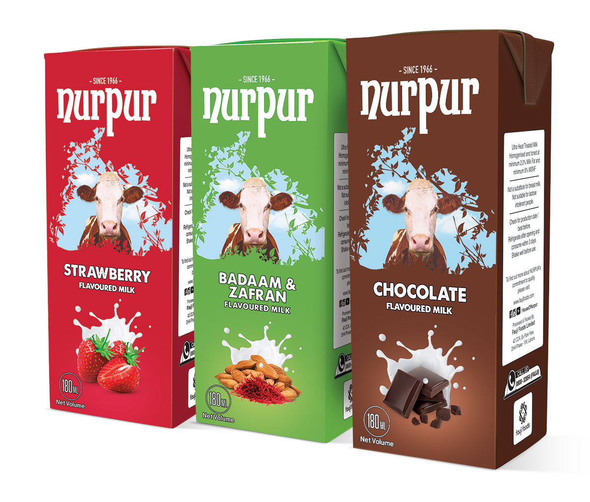 Nurpur Flavoured  Milk
